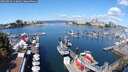 ./images/victoria/wharf/20250820/wharf20250820_113011M.jpg