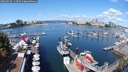 ./images/victoria/wharf/20250820/wharf20250820_113510M.jpg