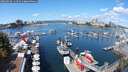 ./images/victoria/wharf/20250820/wharf20250820_114512M.jpg