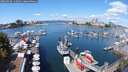 ./images/victoria/wharf/20250820/wharf20250820_115011M.jpg