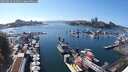 ./images/victoria/wharf/20250820/wharf20250820_161011M.jpg
