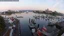 ./images/victoria/wharf/20250821/wharf20250821_061509M.jpg