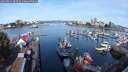 ./images/victoria/wharf/20250821/wharf20250821_085510M.jpg