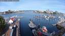 ./images/victoria/wharf/20250821/wharf20250821_092514M.jpg