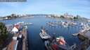 ./images/victoria/wharf/20250821/wharf20250821_093011M.jpg