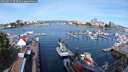 ./images/victoria/wharf/20250821/wharf20250821_093510M.jpg