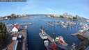 ./images/victoria/wharf/20250821/wharf20250821_100012M.jpg