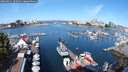 ./images/victoria/wharf/20250821/wharf20250821_103012M.jpg
