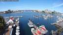 ./images/victoria/wharf/20250821/wharf20250821_105011M.jpg