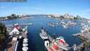 ./images/victoria/wharf/20250821/wharf20250821_110507M.jpg