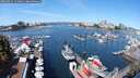 ./images/victoria/wharf/20250821/wharf20250821_113011M.jpg