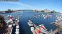 ./images/victoria/wharf/20250821/wharf20250821_114511M.jpg