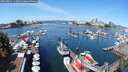 ./images/victoria/wharf/20250821/wharf20250821_115010M.jpg