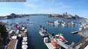 ./images/victoria/wharf/20250821/wharf20250821_142011M.jpg