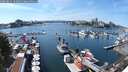 ./images/victoria/wharf/20250821/wharf20250821_144009M.jpg