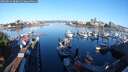 ./images/victoria/wharf/20250822/wharf20250822_080012M.jpg