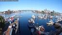./images/victoria/wharf/20250822/wharf20250822_084509M.jpg