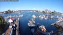 ./images/victoria/wharf/20250822/wharf20250822_092514M.jpg