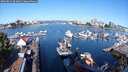 ./images/victoria/wharf/20250822/wharf20250822_093012M.jpg