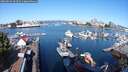 ./images/victoria/wharf/20250822/wharf20250822_094511M.jpg