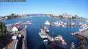 ./images/victoria/wharf/20250822/wharf20250822_100011M.jpg