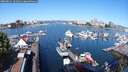 ./images/victoria/wharf/20250822/wharf20250822_101011M.jpg