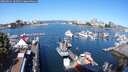 ./images/victoria/wharf/20250822/wharf20250822_102512M.jpg