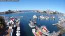 ./images/victoria/wharf/20250822/wharf20250822_114010M.jpg