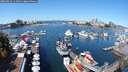 ./images/victoria/wharf/20250822/wharf20250822_115010M.jpg
