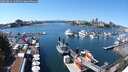 ./images/victoria/wharf/20250822/wharf20250822_140510M.jpg