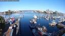 ./images/victoria/wharf/20250823/wharf20250823_084511M.jpg