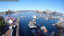 ./images/victoria/wharf/20250823/wharf20250823_093510M.jpg