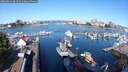 ./images/victoria/wharf/20250823/wharf20250823_094511M.jpg