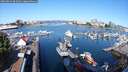 ./images/victoria/wharf/20250823/wharf20250823_095010M.jpg