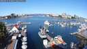 ./images/victoria/wharf/20250823/wharf20250823_103012M.jpg