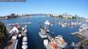 ./images/victoria/wharf/20250823/wharf20250823_105509M.jpg