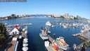 ./images/victoria/wharf/20250823/wharf20250823_110012M.jpg