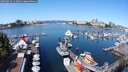 ./images/victoria/wharf/20250823/wharf20250823_112011M.jpg