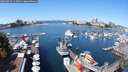 ./images/victoria/wharf/20250823/wharf20250823_115009M.jpg