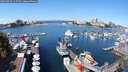 ./images/victoria/wharf/20250823/wharf20250823_115510M.jpg