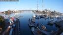 ./images/victoria/wharf/20250824/wharf20250824_074008M.jpg