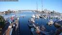 ./images/victoria/wharf/20250824/wharf20250824_083012M.jpg