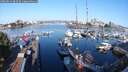 ./images/victoria/wharf/20250824/wharf20250824_083510M.jpg