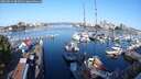 ./images/victoria/wharf/20250824/wharf20250824_085011M.jpg