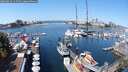 ./images/victoria/wharf/20250824/wharf20250824_115510M.jpg