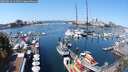 ./images/victoria/wharf/20250824/wharf20250824_121011M.jpg