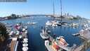 ./images/victoria/wharf/20250824/wharf20250824_123012M.jpg