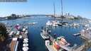 ./images/victoria/wharf/20250824/wharf20250824_123510M.jpg