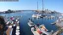 ./images/victoria/wharf/20250824/wharf20250824_131011M.jpg