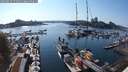 ./images/victoria/wharf/20250824/wharf20250824_171010M.jpg